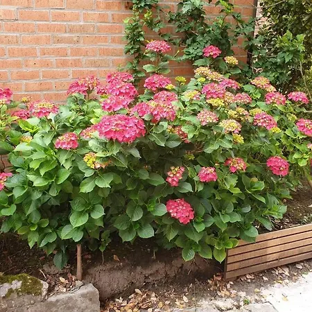 Le Bord De Meuse Apartment *